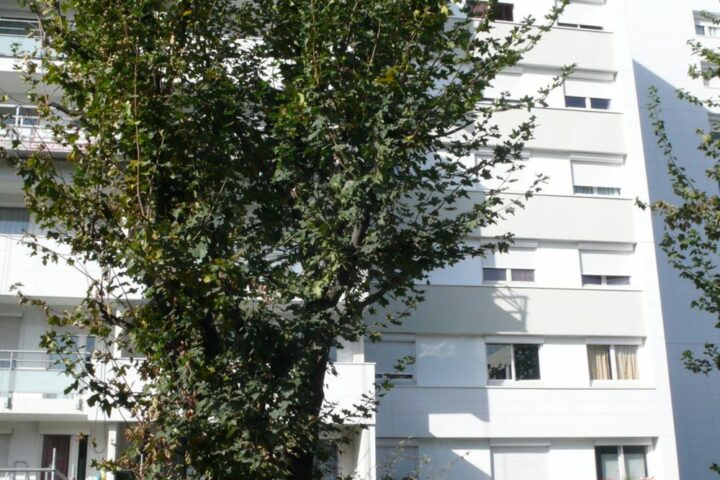 architecte habitat social dans le 92 à levallois par AIM