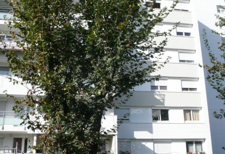 architecte habitat social dans le 92 à levallois par AIM
