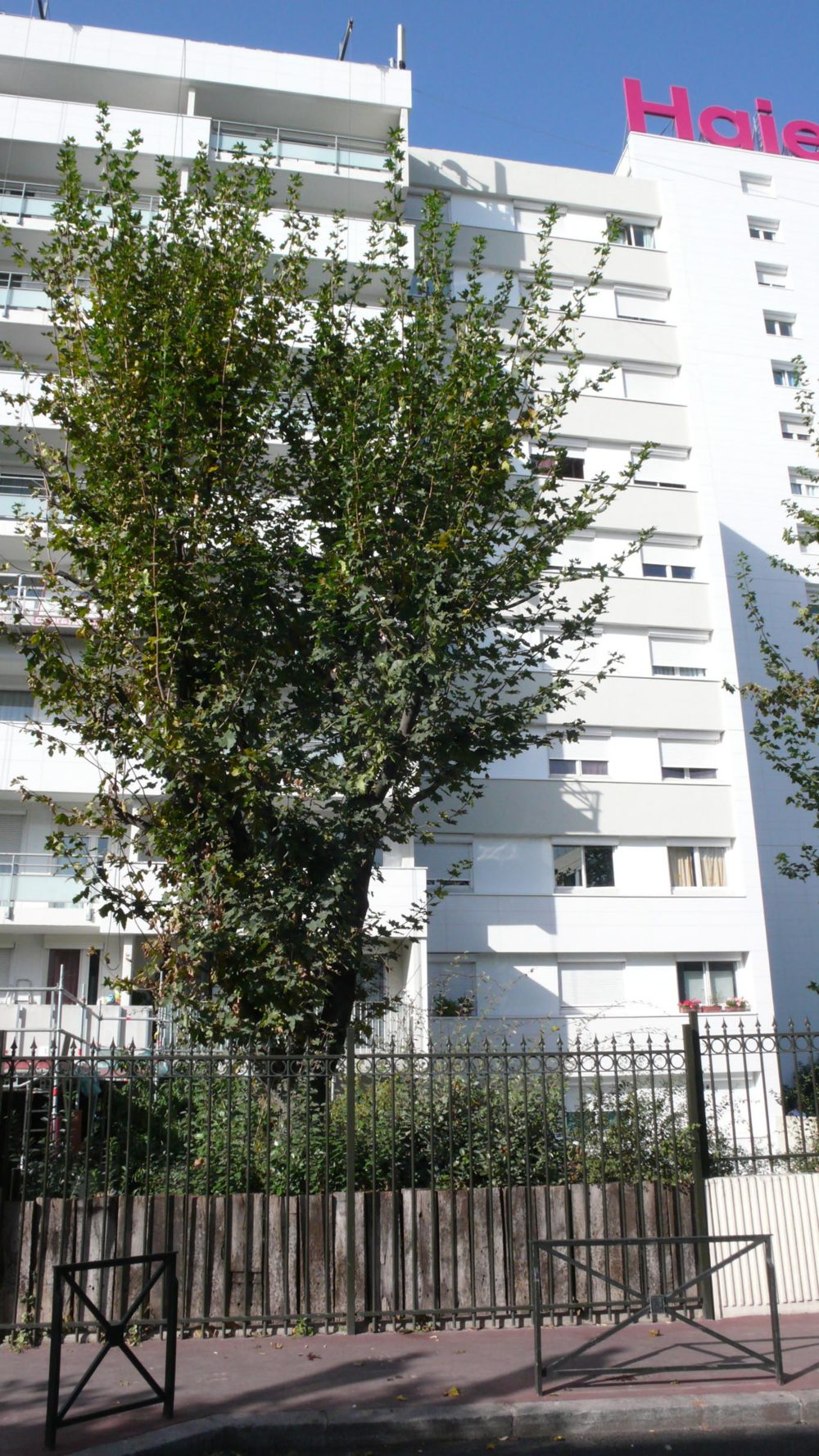 architecte habitat social dans le 92 à levallois par AIM