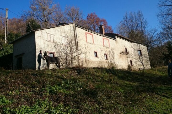 Aménagement intérieur contemporain et décoration BERGO dans une ancienne grange.