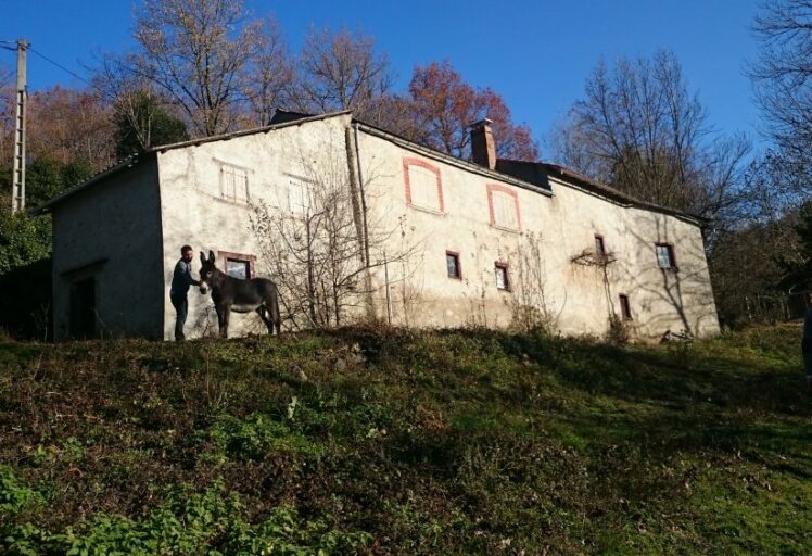 Aménagement intérieur contemporain et décoration BERGO dans une ancienne grange.