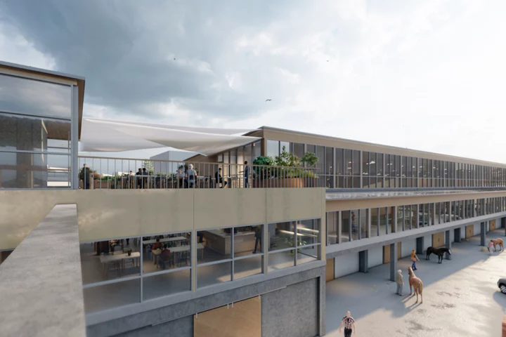 Surélévation bois centre équestre La Villette